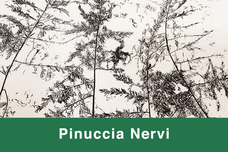 Pinuccia Nervi Poesie