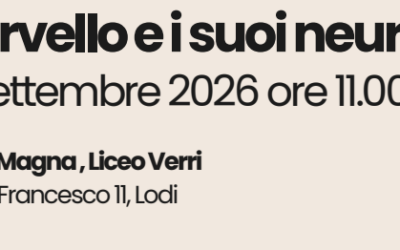 IL CERVELLO E I SUOI NEURONI